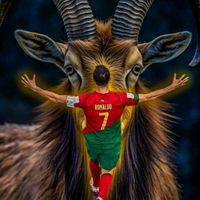 juanitotzapinel