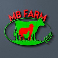 mbfarm4