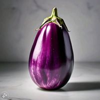 laconeccion.com