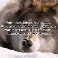 kazak_001_0