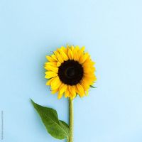 For My Good by Maveric City