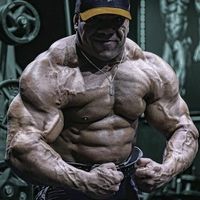 noding_gym