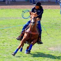 derrickbegayofficial