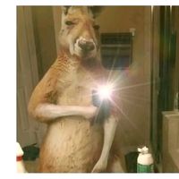 user34679961236