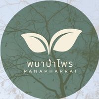เสียงต้นฉบับ - พนาป่าไพร🍃