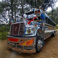 brallanp556gmail.com