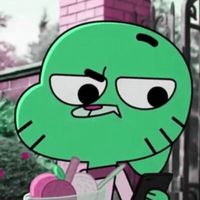 zwwpp