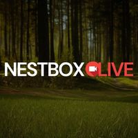 nestboxlive