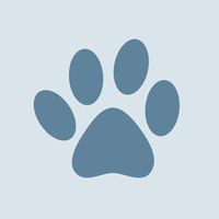 euphorie.chiot