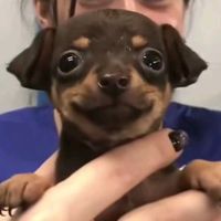 w41t3r_i_love_cookies