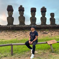 wilson_cm17