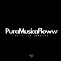puramusicafloww