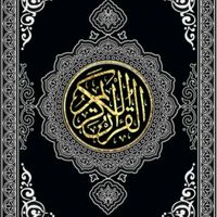 halima5011