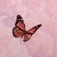 gracias por el apoyo