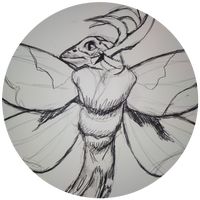 eliidk09