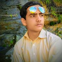 kasharkhan4440