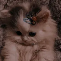 اللهم انت القريب