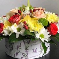 surprize_la_domiciliu_ro