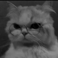 original sound - leinadzb