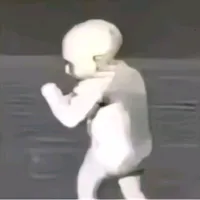 buelbe a nacer zorra