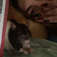 stupid w love but make it bad