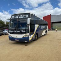 transaraujo_oficial