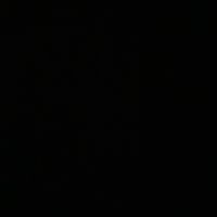 horses_524