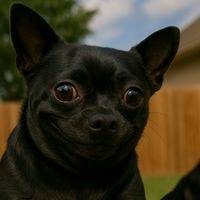 doug4790