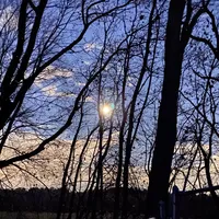 original sound - latinladies1