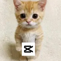 original sound - notcap_pro