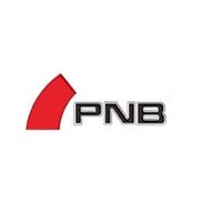 pnb.tuning.audi