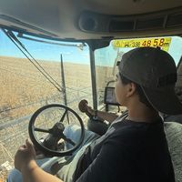 pedro_joaquim8