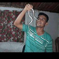 daodasserpentesoficial