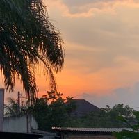 suara asli - lostdirection_