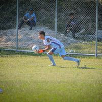 yair.161