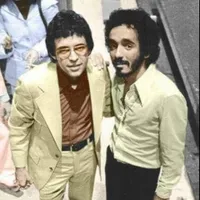 original sound - cn_seagal