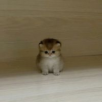 с тобой снова живой