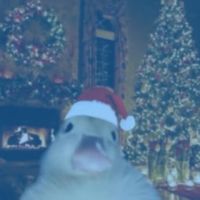 blair_what.thesigma35