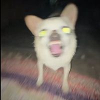 onatakaj
