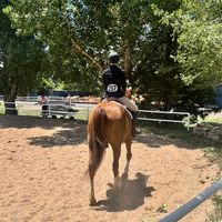 rileyeq18