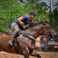 douglasleal022