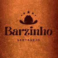 barzinhosertanejo