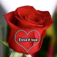 amandasantossanto91