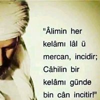 orijinal ses