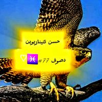 الصوت الأصلي