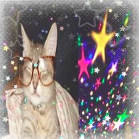 deenapotter