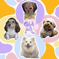 thea4team