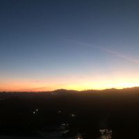azucenay64