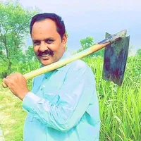 original sound - mianmushtaq77