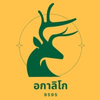 original sound - อกาลิโก 9595